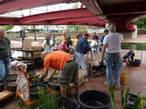Spring Clean Up and Tropical Planting